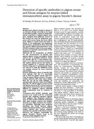 Detection of specific antibodies to pigeon serum and bloom antigens by enzyme linked immunosorbent assay in pigeon breeder's disease. = (Détection des anticorps spécifiques contre le sérum des pigeons et antigènes sanguins au moyen du test ELISA dans la maladie des éleveurs de pigeons).. 3. 57 | RODRIGO M.J.