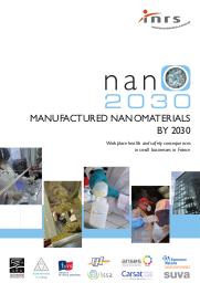 Les nanomatériaux manufacturés à l’horizon 2030 en France : Conséquences en santé et sécurité au travail dans les petites entreprises en France | RICAUD M. (Ed).