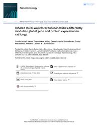 Inhaled multi-walled carbon nanotubes differently modulate global gene and protein expression in rat lungs. = (L’inhalation des nanotubes de carbone multi-parois modulent différemment l’expression globale des gènes et des protéines dans les poumons de rat). | SEIDEL C.